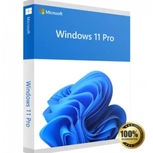 Microsoft Windows 11 Professional 64 bit (Product key)